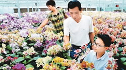 臺(tái)商眼中的改革開(kāi)放：風(fēng)景這邊獨(dú)好 要去，要去，要去！