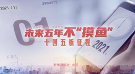 未來五年，不“摸魚”