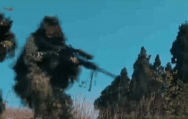 突入，擊斃！直擊武警特戰(zhàn)反劫持演練！