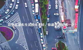 在浦東生活的小美好 你最想遇見哪一個？