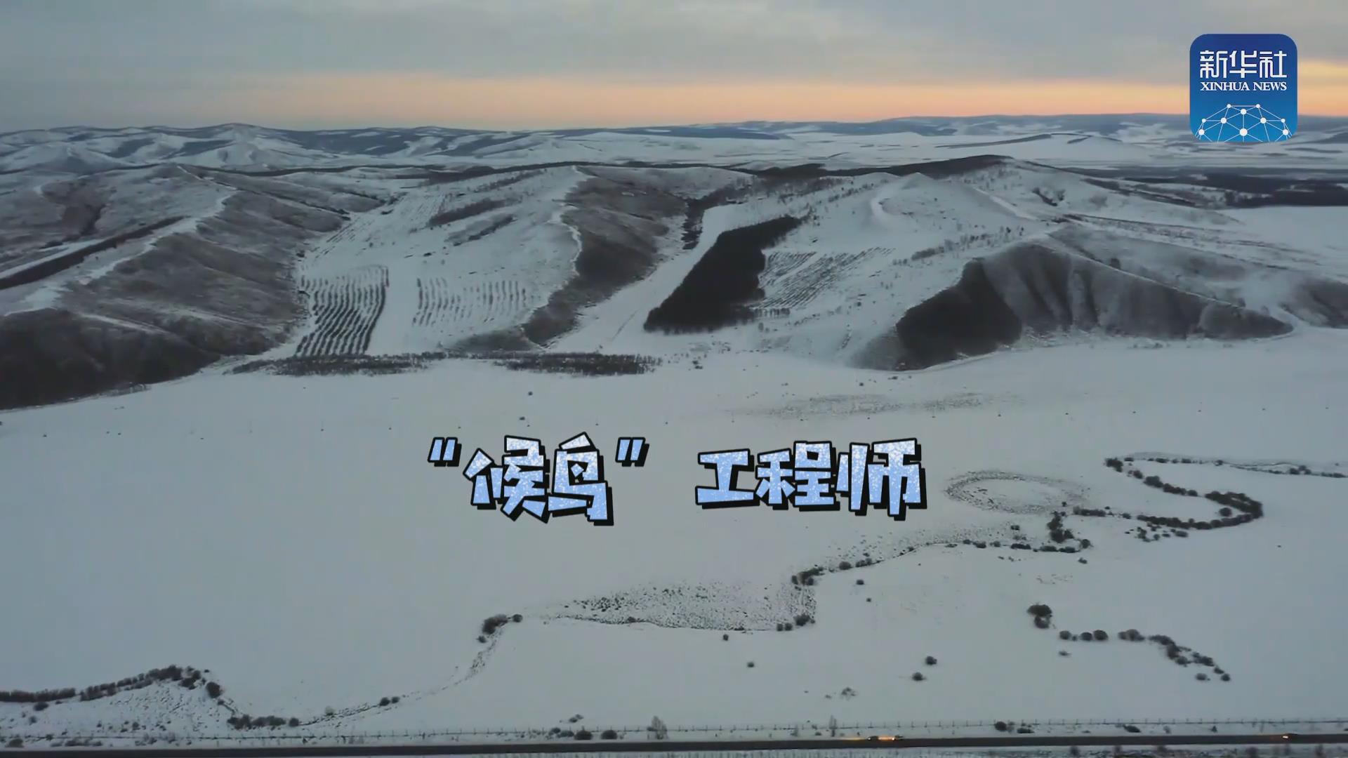 我們在奔跑丨一路向北！他是逆行的“候鳥”
