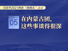 習(xí)近平2021兩會(huì)“微鏡頭”之三 3月5日 在內(nèi)蒙古團(tuán)，這些事談得很深