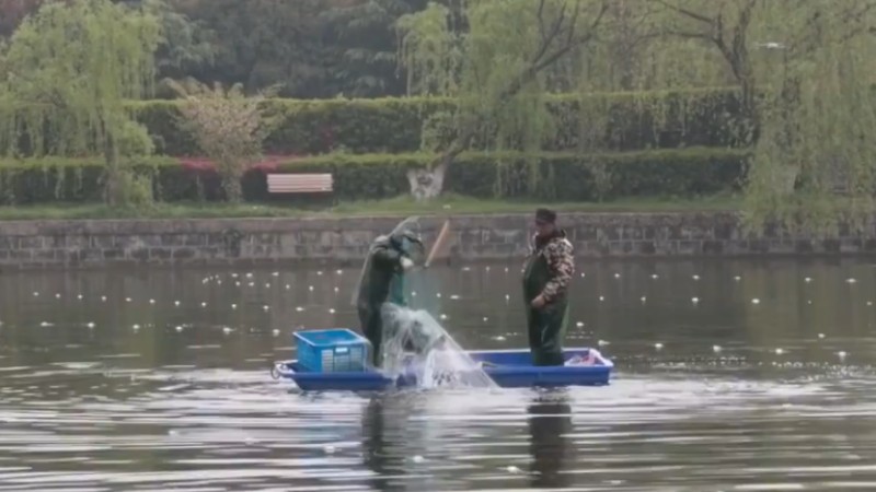 別人家的學校！安師大請師生吃一萬斤魚