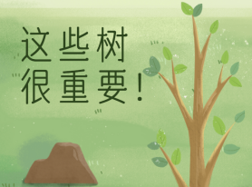 這些樹很重要！