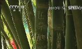 “五一”去哪？：快樂出行 文明旅游
