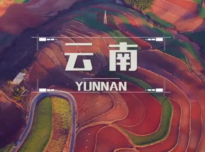 面向全球，直播“一帶一路”！——古道新生云之南
